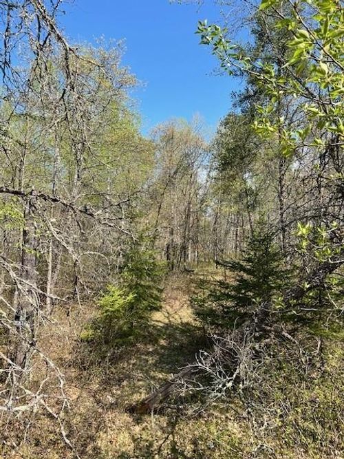 TBD Mikes Road Sw, Bemidji, MN, 56601 | Card Image