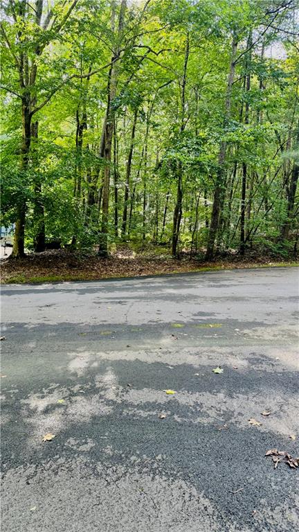 Land in Villa Rica 2