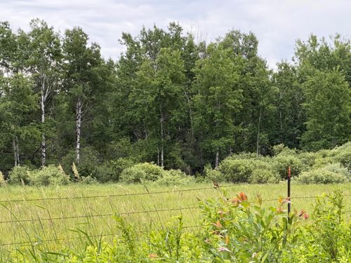 TBD State Highway 65, Nashwauk, MN, 55769 | Card Image