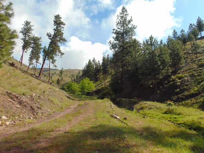 27235 Lazy Springs Rd, Home with 0 bedrooms, 0 bathrooms and null parking in Clinton MT | Image 53