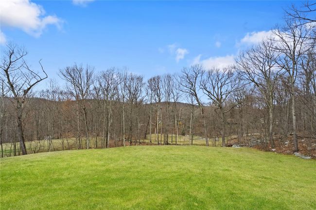View of yard with a forest view | Image 37