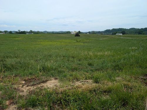 16 Rivertown Rd, Burkesville, KY, 42717 | Card Image