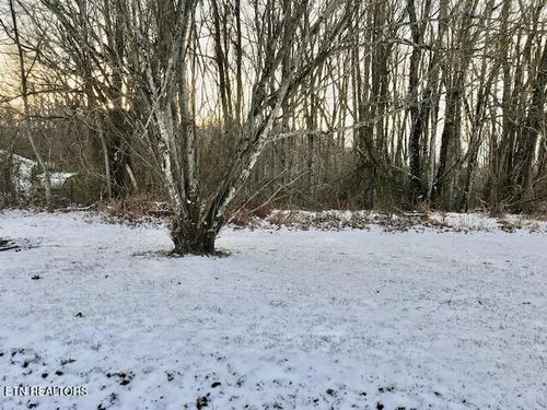 69145 Letner Rd, Helenwood, TN, 37755 | Card Image