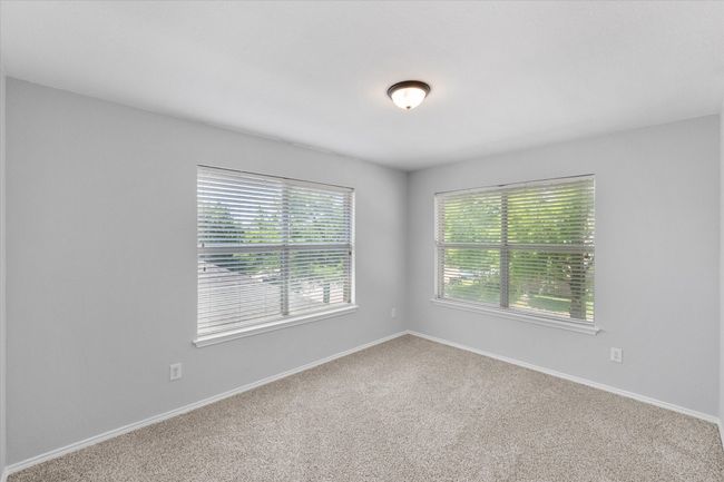New Carpet | Image 28