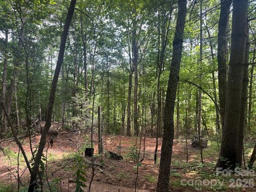 1921-210/240 Gobbler Circle, Horse Shoe, NC, 28742 | Card Image