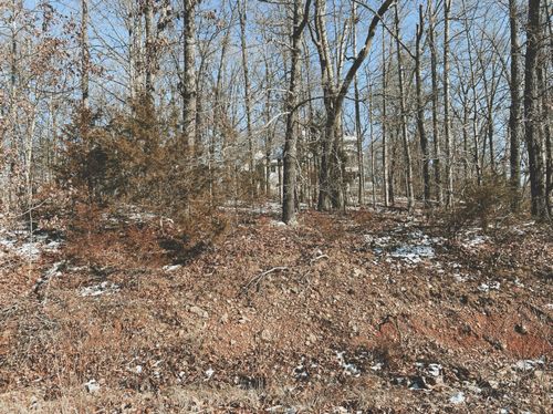 000 Lot 3 Block 13 Morrison Sub, West Plains, MO, 65775 | Card Image