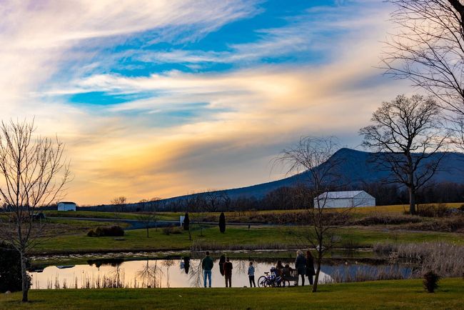 82 Dalmatian Dr, Home with 0 bedrooms, 0 bathrooms and null parking in MC GAHEYSVILLE VA | Image 4