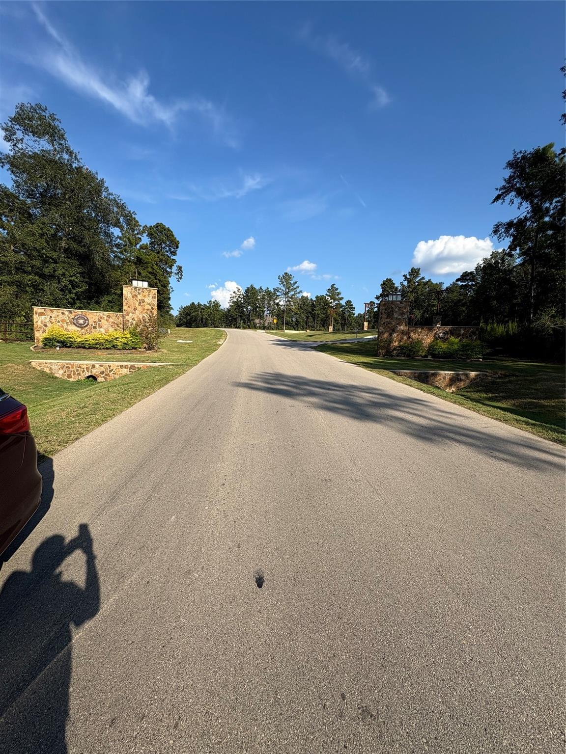 Land in Willis 5