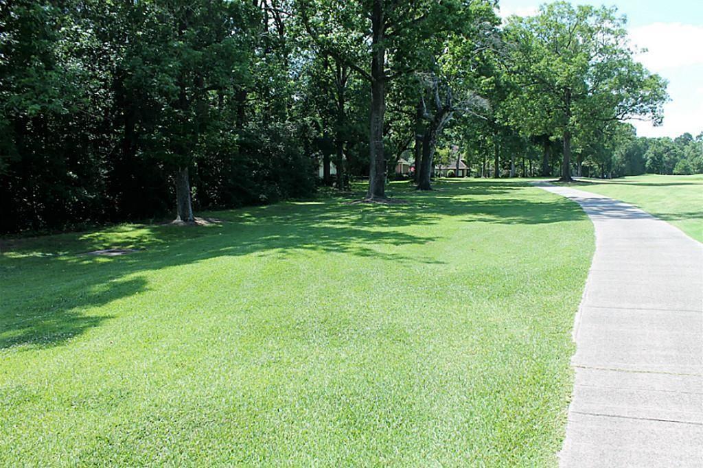 Land in Conroe 2