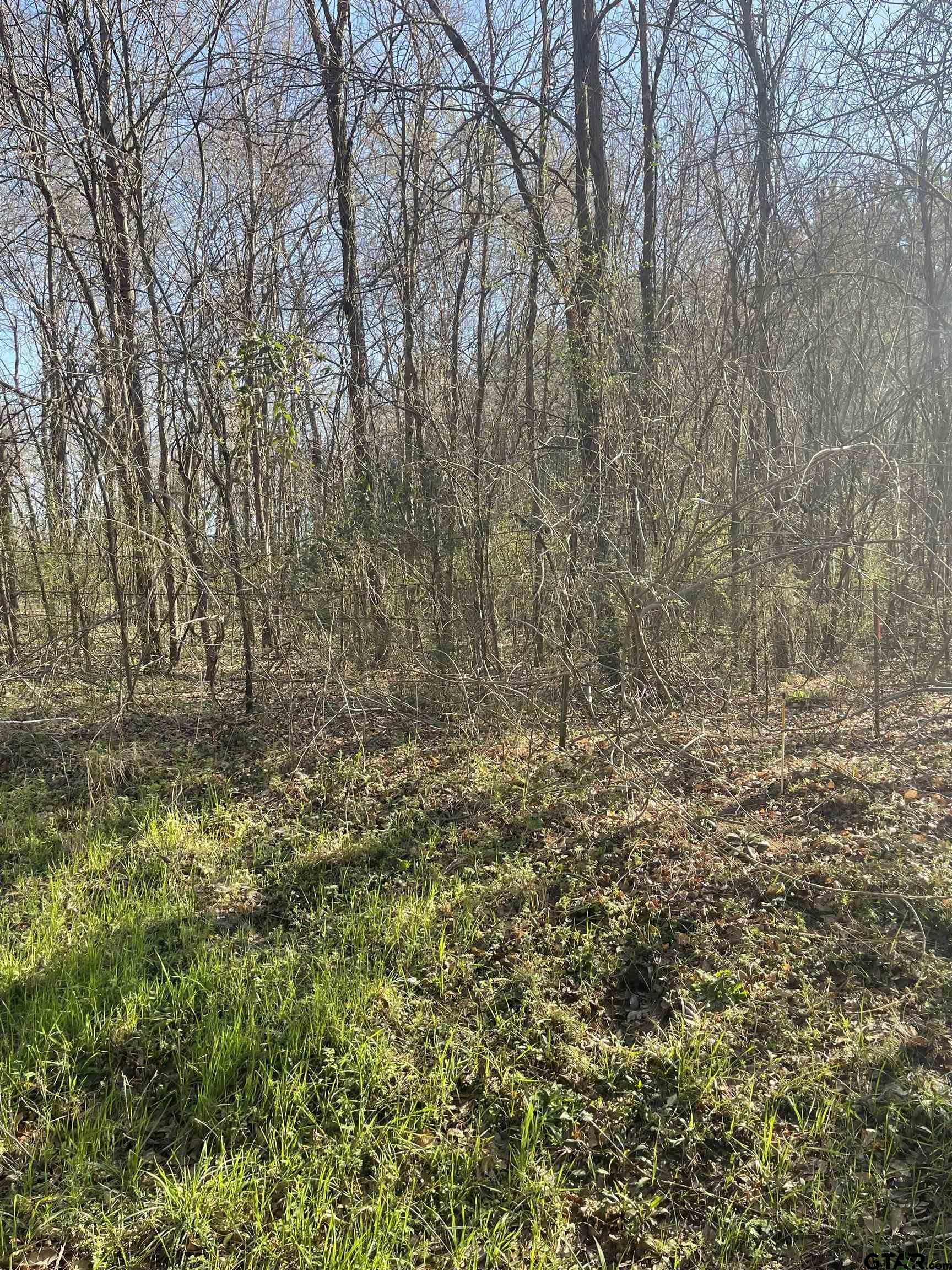Land in Troup 2