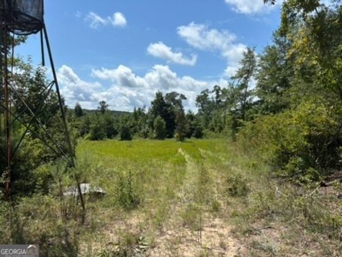 0 Pineville Rd, Buena Vista, GA, 31803 | Card Image