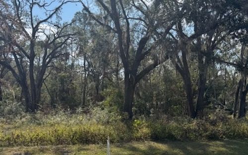 LOT 5 Ne Briarwood Way, PINETTA, FL, 32350 | Card Image