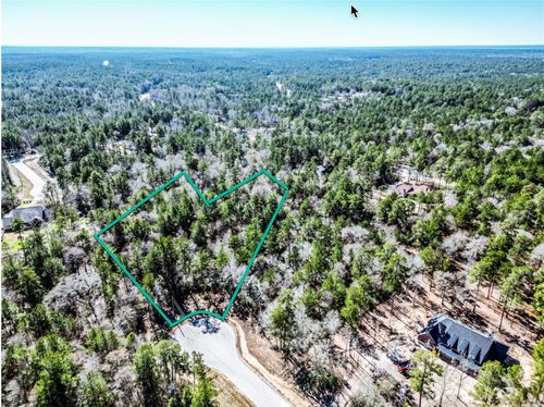 lot 42 Pyrite Ct, Huntsville, TX, 77340 | Card Image