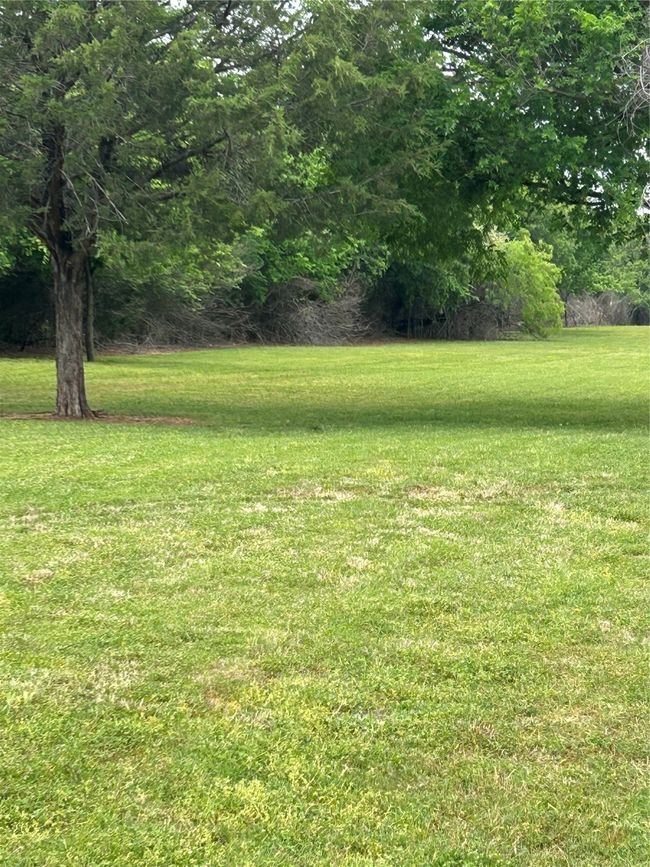 View of yard | Image 7