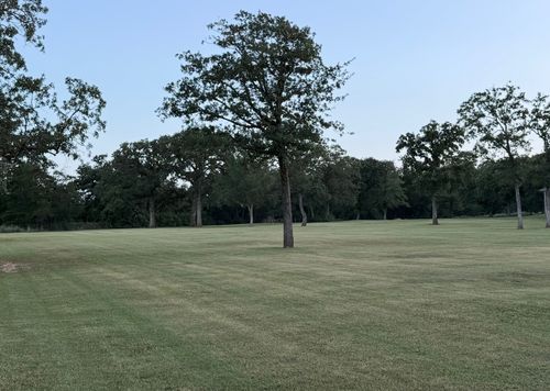 1044 Private Road 7039, Lexington, TX, 78947-5270 | Card Image