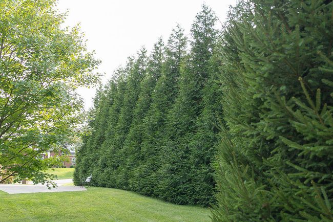 110 Camelot Dr, House other with 4 bedrooms, 4 bathrooms and null parking in Winchester KY | Image 97