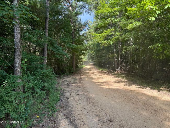 land-for-sale-lincoln-county-ms 18 | Image 20