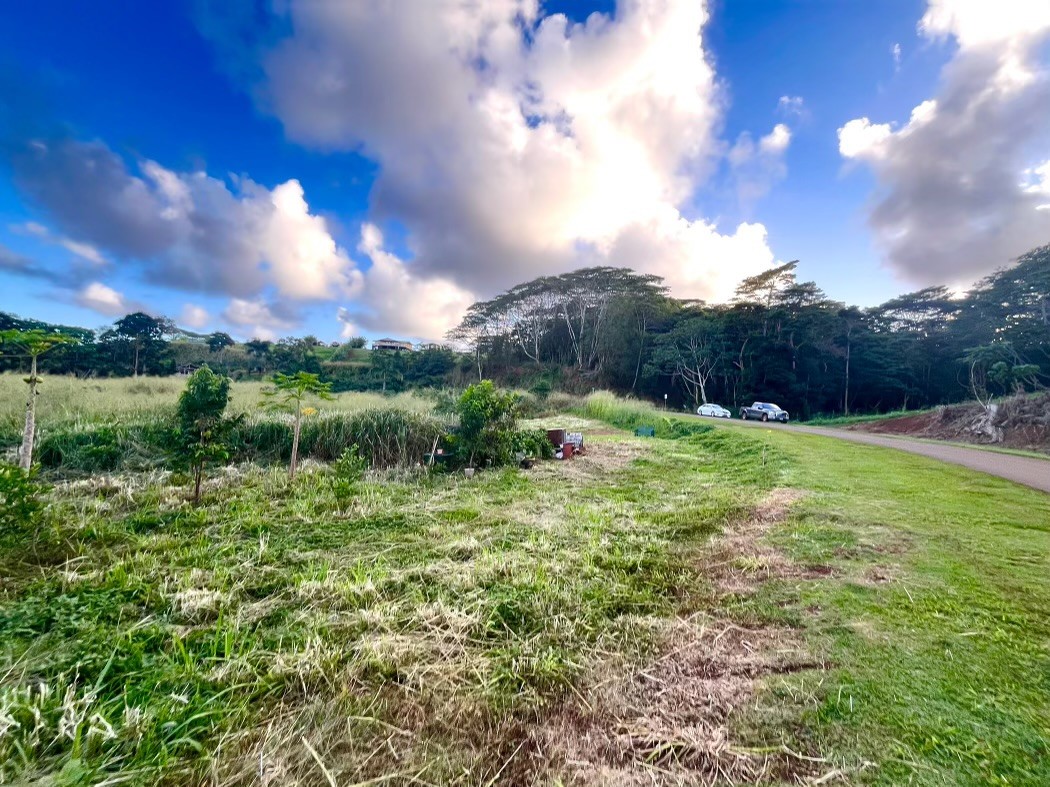Land in Kapaa 3