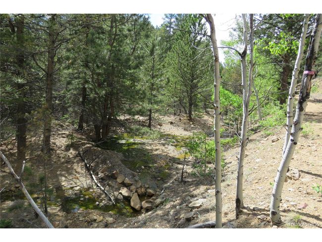 0 Come And See Mine, Home with 0 bedrooms, 0 bathrooms and null parking in Central City CO | Image 12