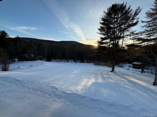 5597 Red Hill Rd, Claryville, NY, 12725-5011 | Card Image