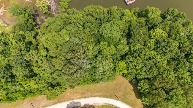 0 Beech Creek Loop, Home with 0 bedrooms, 0 bathrooms and null parking in Clifton TN | Image 4