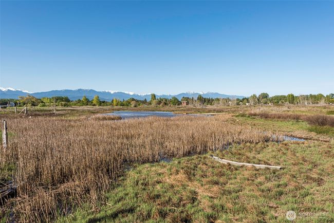 381 3 Crabs Rd, Home with 0 bedrooms, 0 bathrooms and null parking in Sequim WA | Image 38