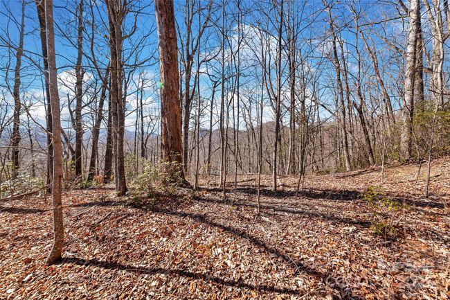 965 Wolf Pen Rd, Home with 0 bedrooms, 0 bathrooms and null parking in Old Fort NC | Image 4