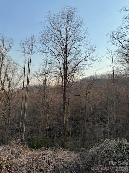 910 Morgan Hill Rd, Black Mountain, NC, 28711-9635 | Card Image