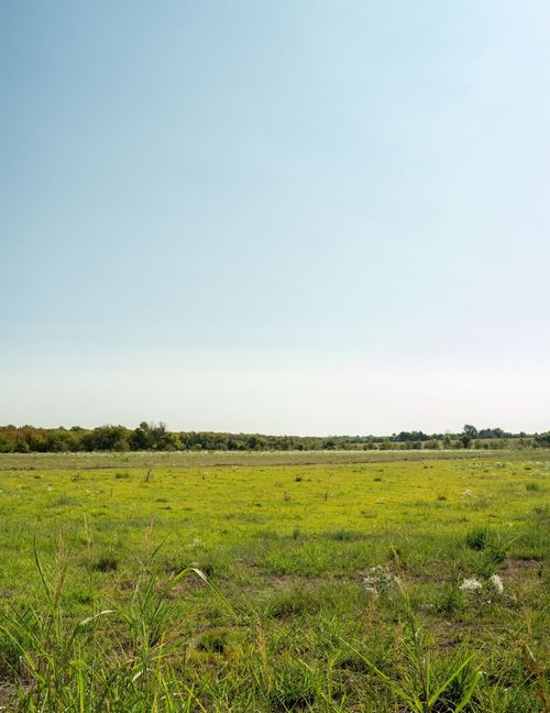 T.B.D. County Road 3660, Ladonia, TX, 75449 | Card Image