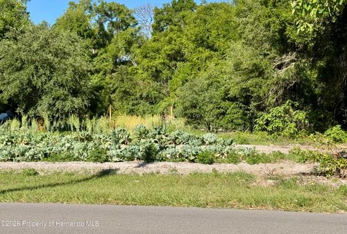 00 County Road 213, Wildwood, FL, 34785 | Card Image