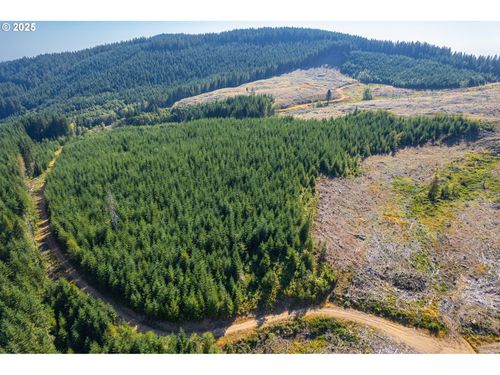 0 Bald Mountain Rd, Beaver, OR, 97108 | Card Image