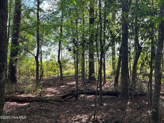 195 Pecan Ln, Home with 0 bedrooms, 0 bathrooms and null parking in Lake Waccamaw NC | Image 4