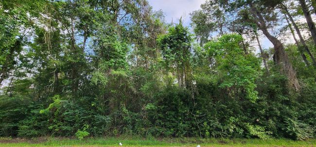 330 County Road 835, Home with 0 bedrooms, 0 bathrooms and null parking in Buna TX | Image 6