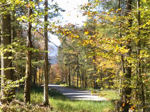 0 Dogwood Springs Road, Stowe, VT, 05672 | Card Image