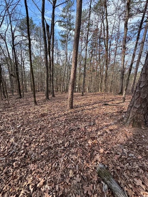 00 Hays St, Hot Springs National Park, AR, 71901 | Card Image