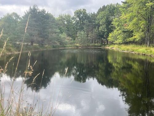 2269 W Treml Rd, Free Soil, MI, 49411 | Card Image