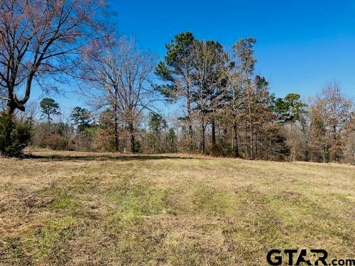 TBD Ridgeline Loop Lot 92, Winona, TX, 75792 | Card Image