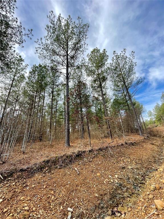 Land in Broken Bow 2