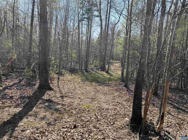 4064 Deep Creek Rd, House other with 2 bedrooms, 1 bathrooms and null parking in KENTS STORE VA | Image 35