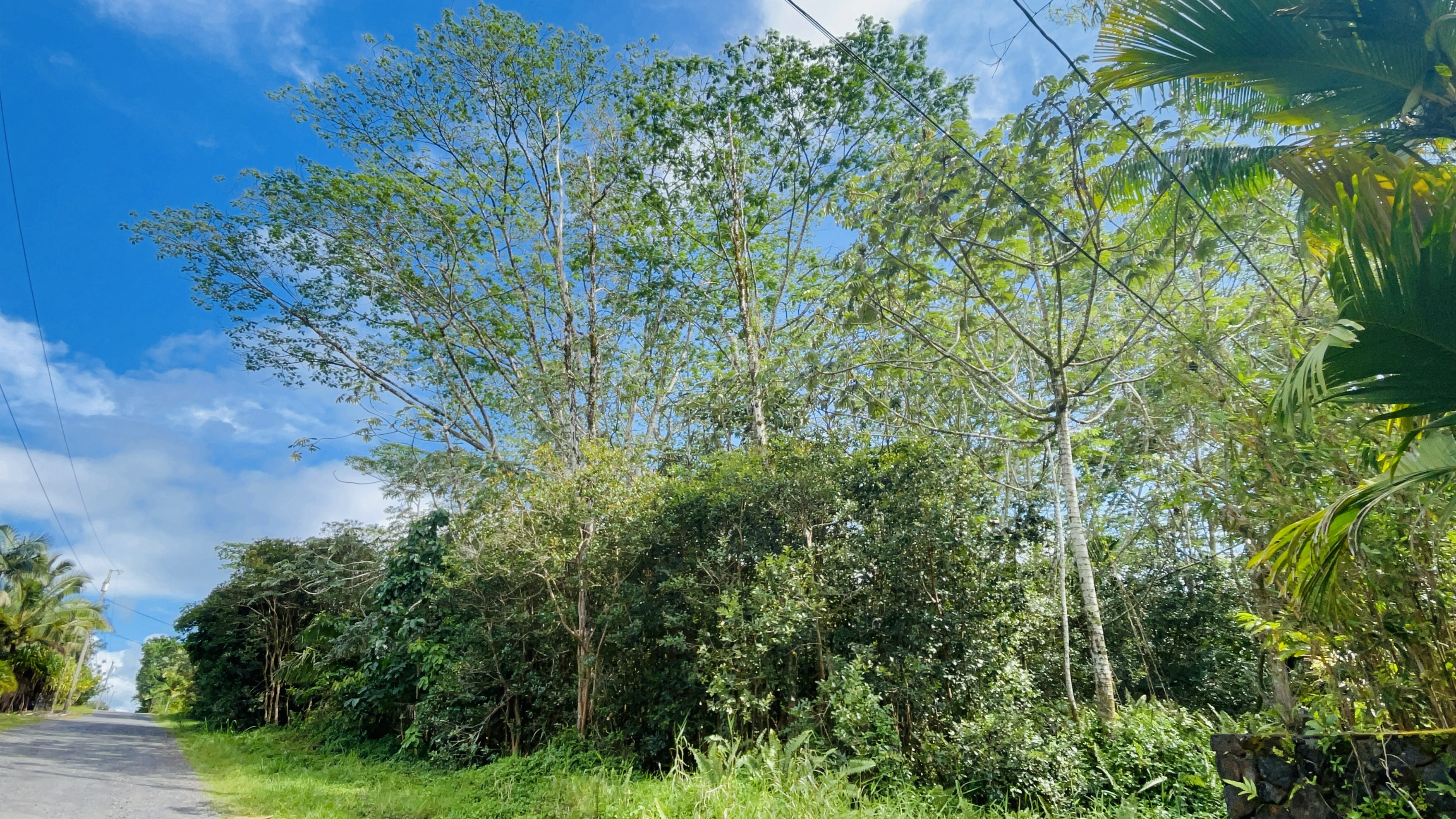 Land in Keaau