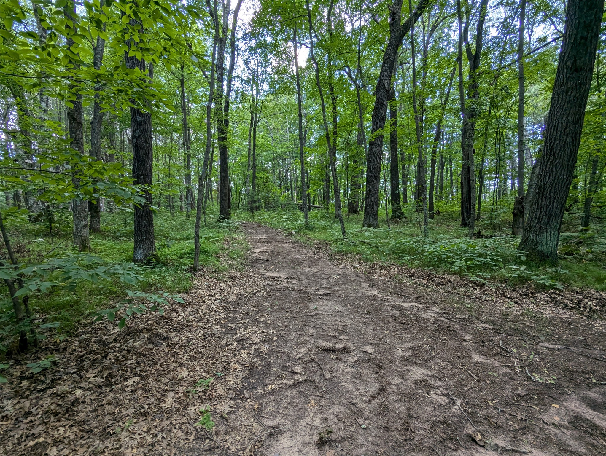 Land in Webster 3