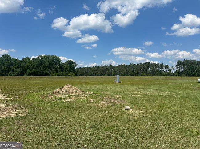 925 Cleary Rd, House other with 3 bedrooms, 2 bathrooms and null parking in Brooklet GA | Image 28