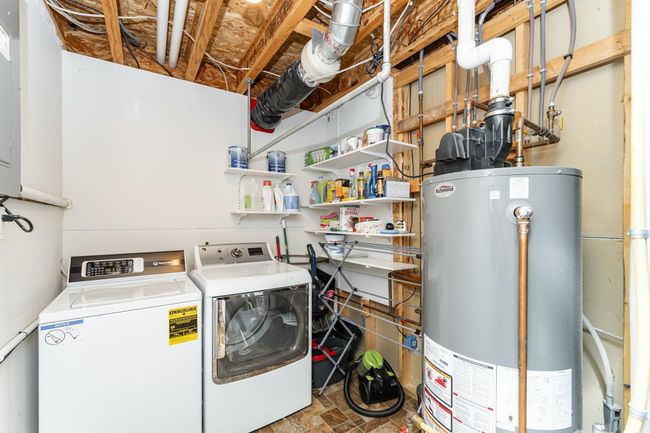 DSC_4314.jpg | Image 22