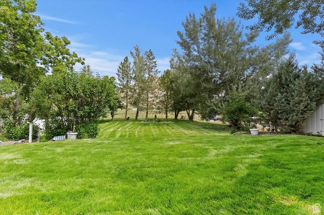 View of green lawn | Image 28