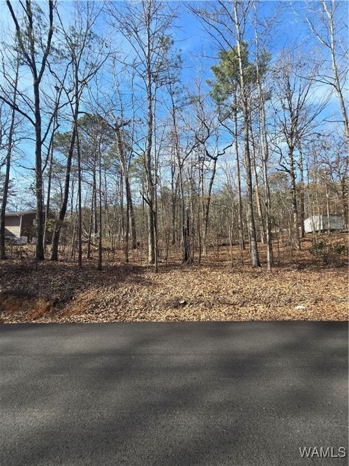 000 Woodland Drive, Mccalla, AL, 35111 | Card Image