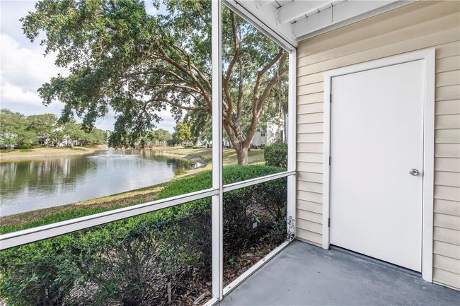 APT-103 - 3300 Haviland Ct, Condo with 1 bedrooms, 1 bathrooms and null parking in PALM HARBOR FL | Image 15