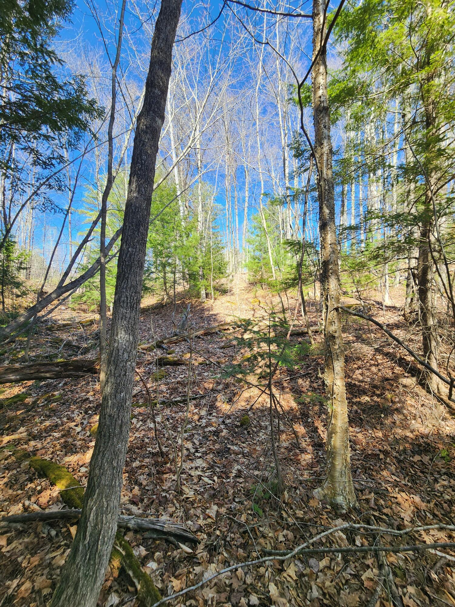 Land in Norridgewock 5