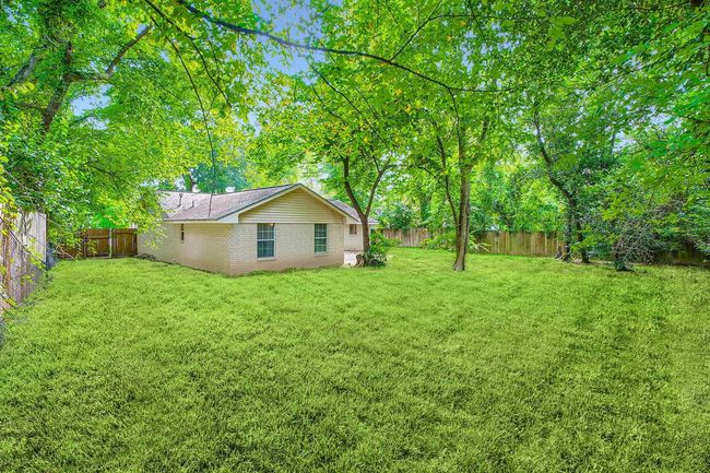 Backyard | Image 20
