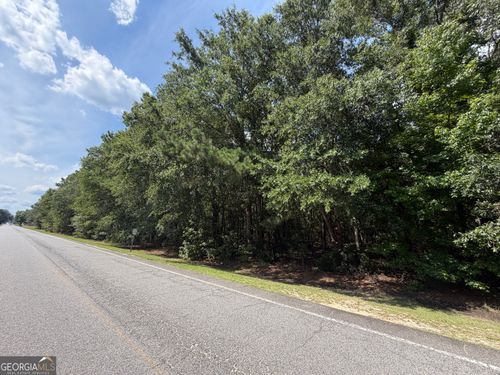 0 Willow Creek Lane, Mcrae-Helena, GA, 31055 | Card Image