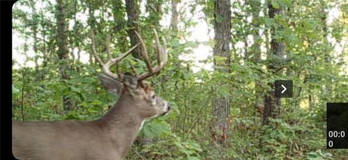 153 N River St, Saint Croix Falls, WI, 54024 | Card Image